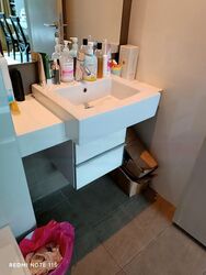 Botannia (D5), Condominium #459856641